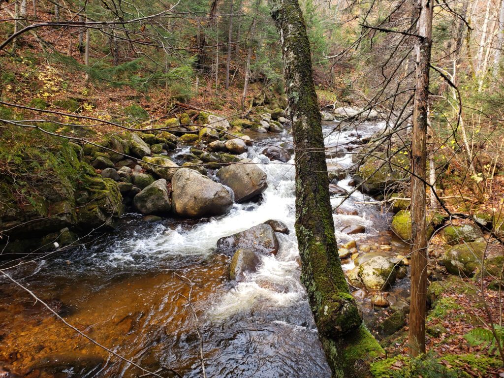 Plein air dans beaupré
